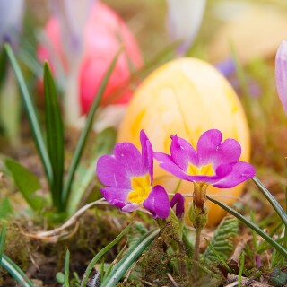 Easter_20097