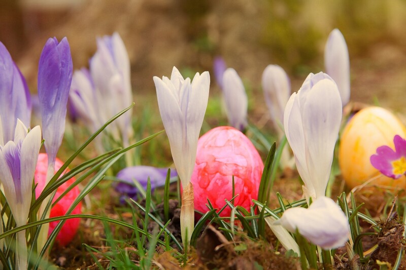 Easter 20145