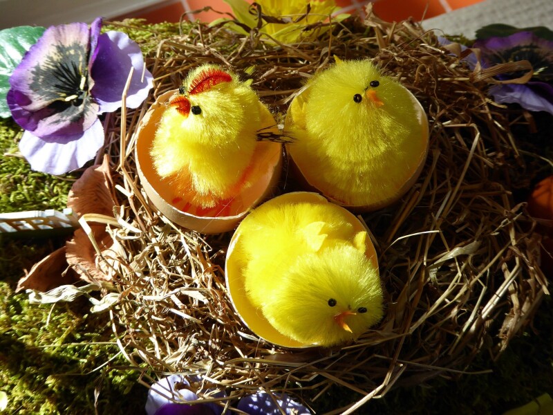 Easter 20285