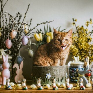 Easter_20384