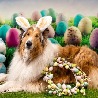 Easter_20623aa98f5537f2d4143