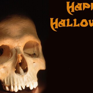 Halloween_0153