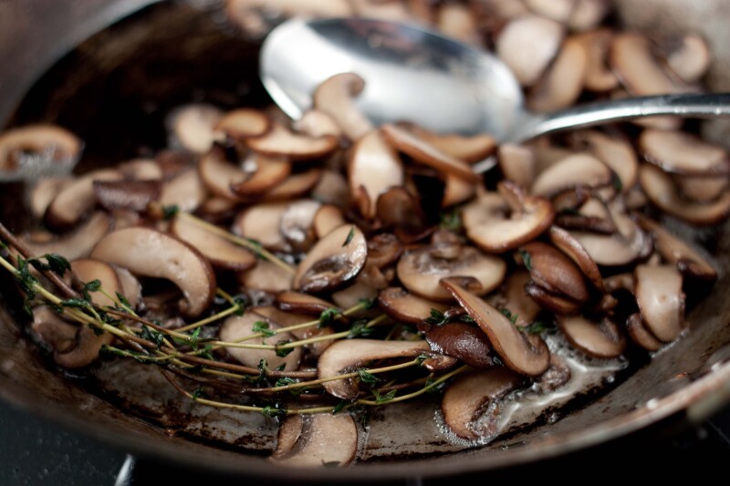 Mushroom 0180
