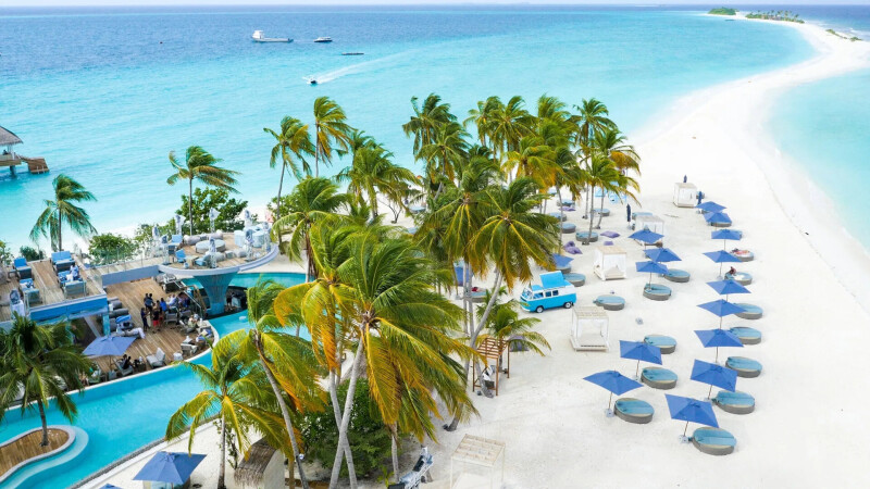 Palm-Tree_0368.jpg