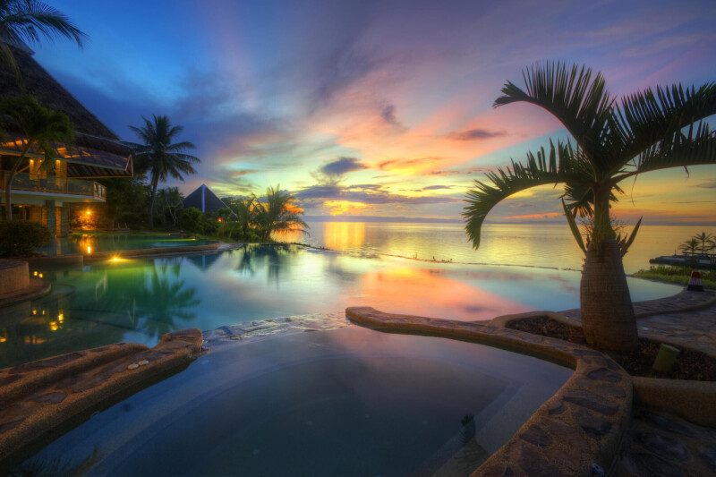 Palm Tree 0642