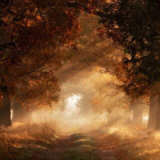 Path_0053