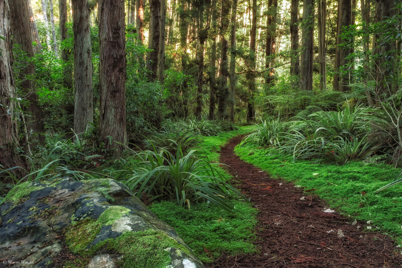 Path 0428