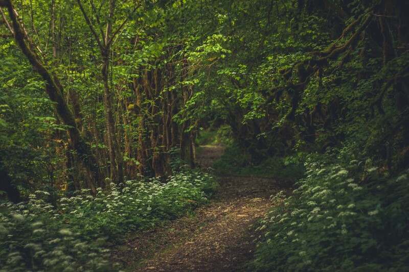 Path 0474