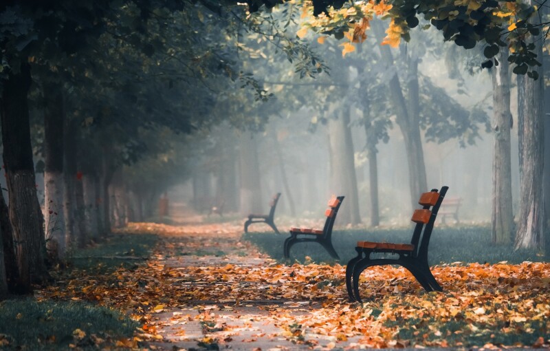 Path_0757.jpg