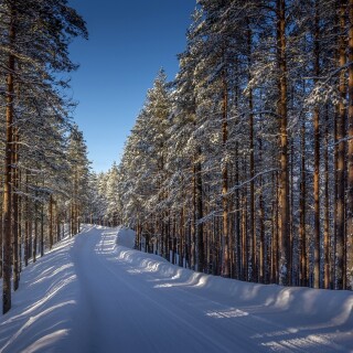 Path_0873