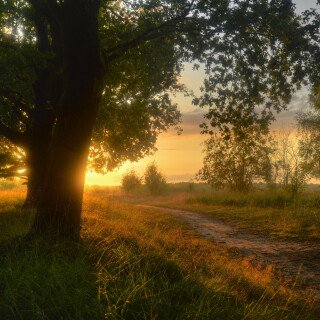 Path_1021