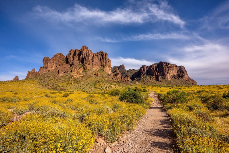 Path_1130.jpg