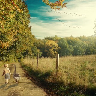 Path_1346