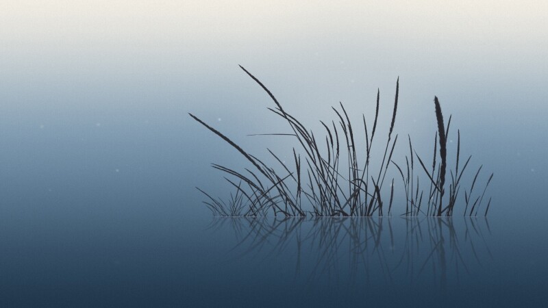 Plant 0096