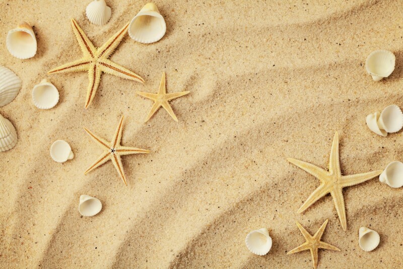Sand_0226.jpg