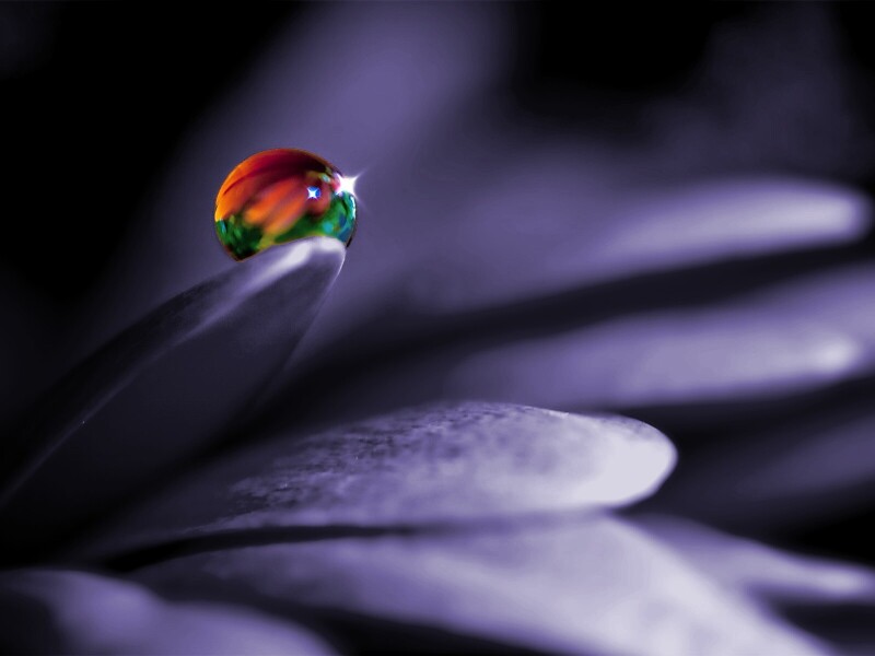 Water Drop 0102
