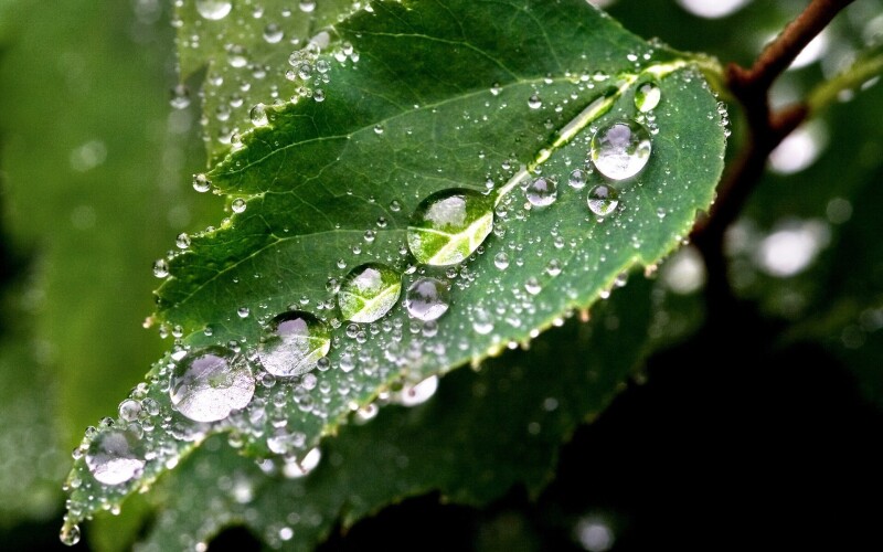 Water Drop 0274
