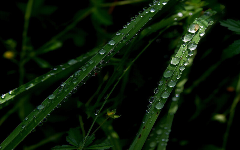 Water Drop 0346