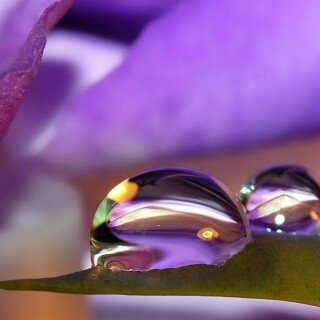 Water-Drop_0691