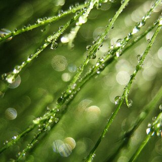 Water-Drop_0728