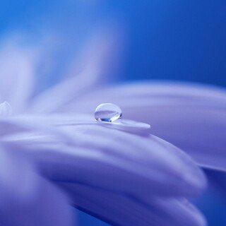 Water-Drop_0833