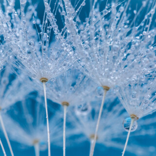 Water-Drop_0837