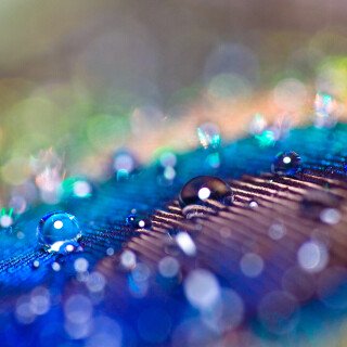 Water-Drop_1050