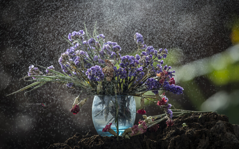 Rain_0325.jpg