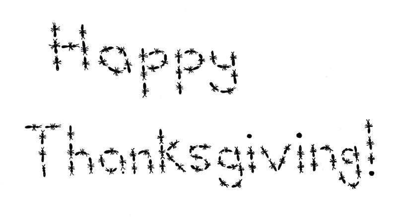Thanksgiving_0050.jpg