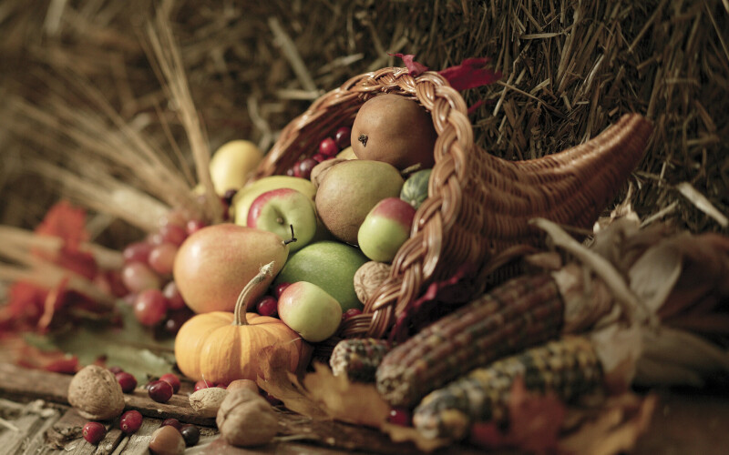 Thanksgiving_0074.jpg