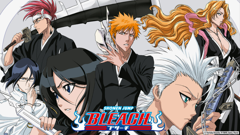 Bleach_1_0134.jpg
