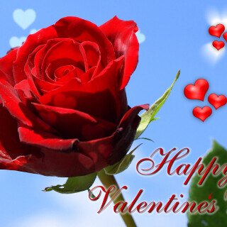 Happy-Valentines-Day0129