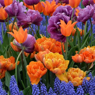 Mothers-Day_0136