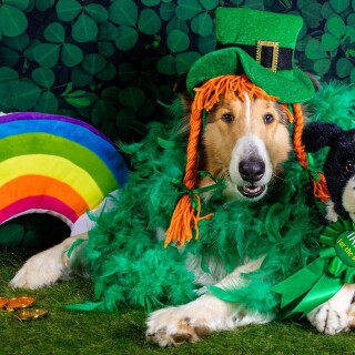 St.-Patricks-Day_0054