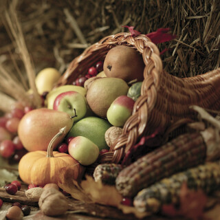 Thanksgiving_0074