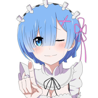 Rem_0035
