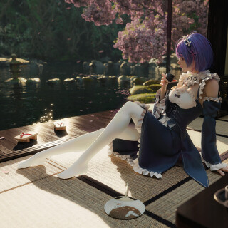 Rem_0120