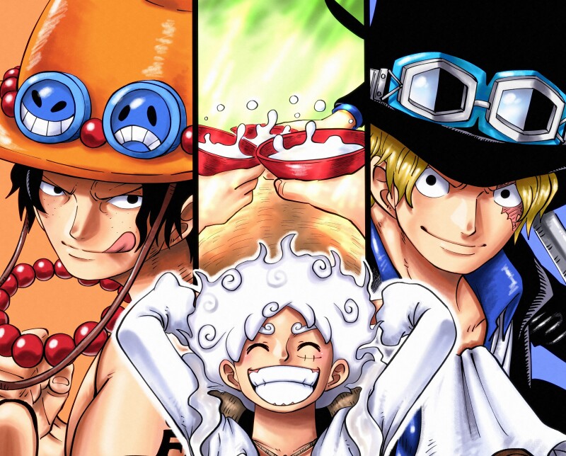 Monkey D. Luffy 0879