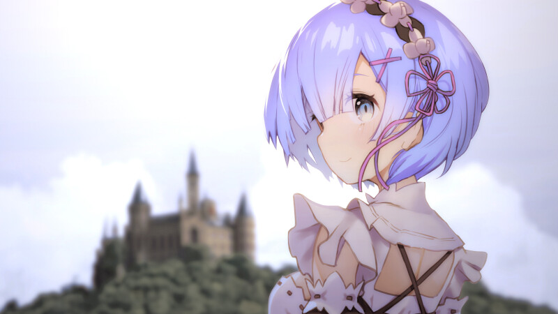 Rem 0010