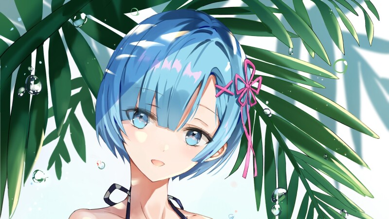 Rem 0193
