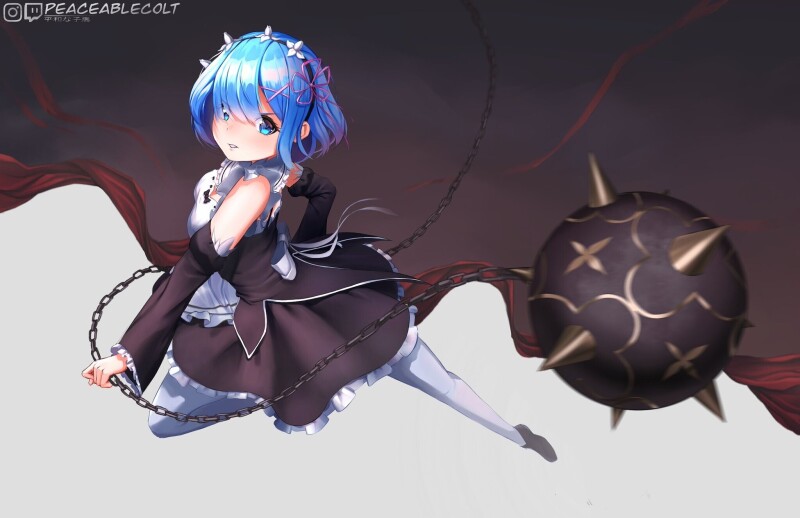 Rem 0195