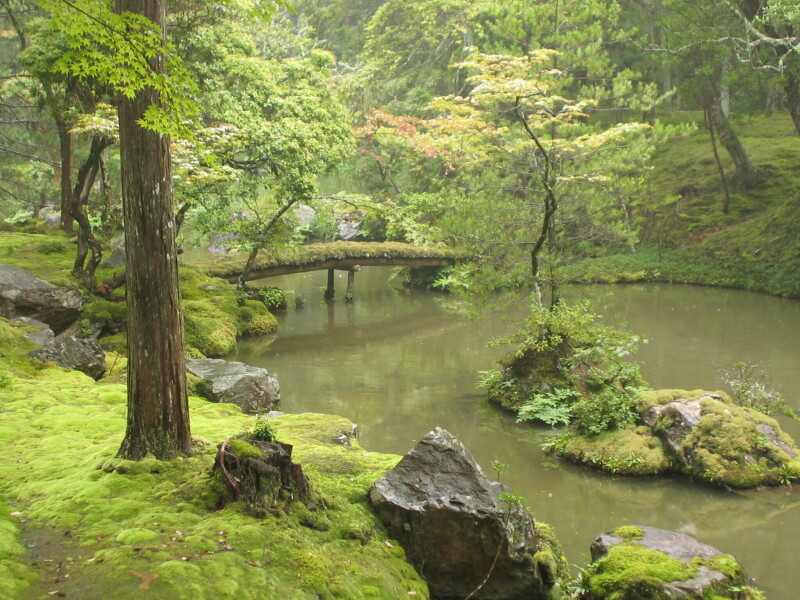 Bridge_2_0003.jpeg