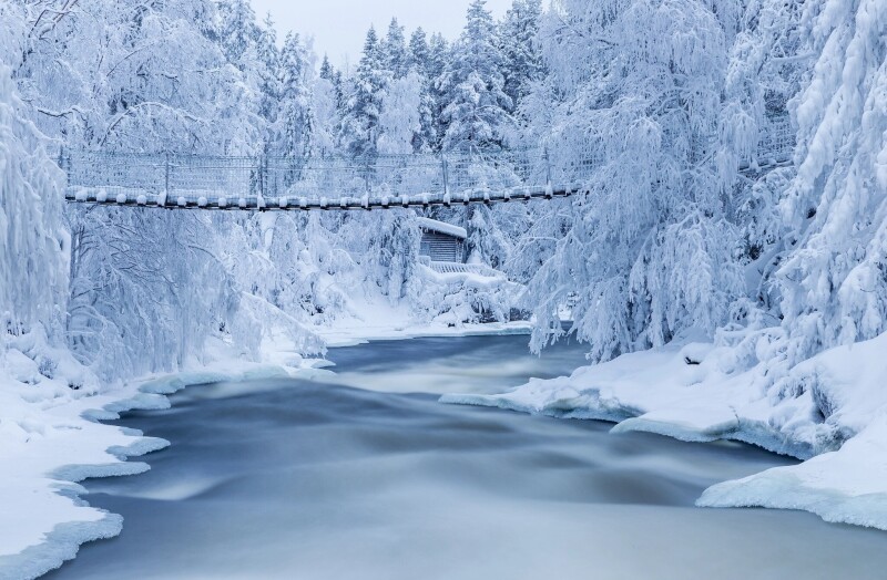 Bridge_2_0493.jpg