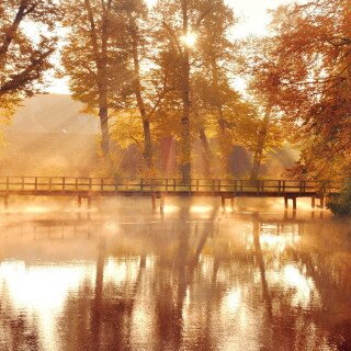 Bridge_2_0124