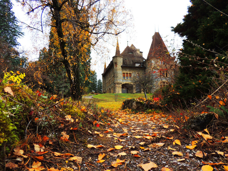 Castle 2 0579