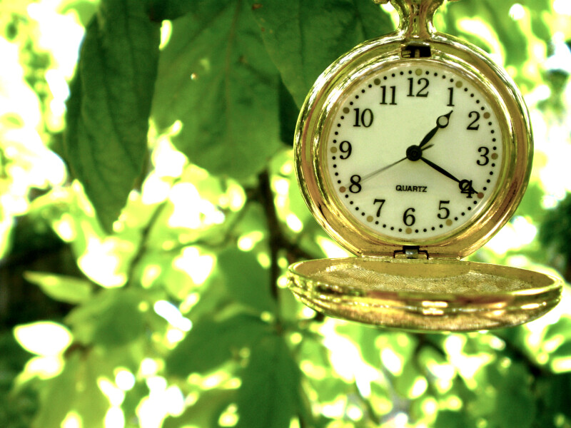 Watch_0002.jpg