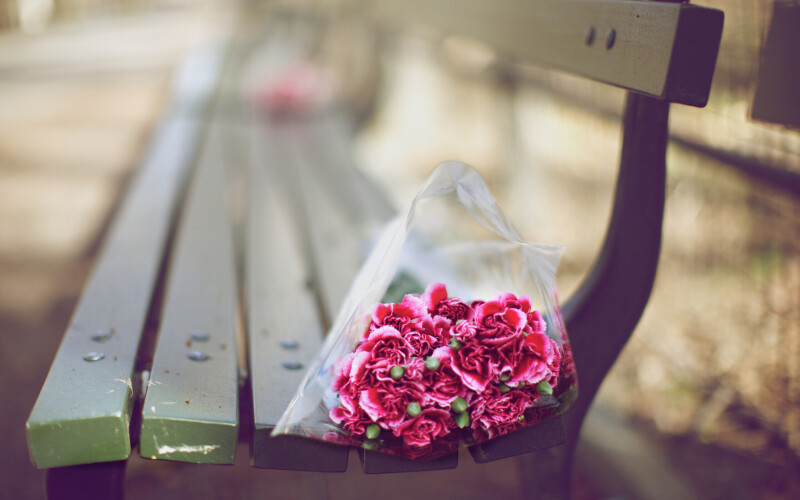 Bench_0133.jpg