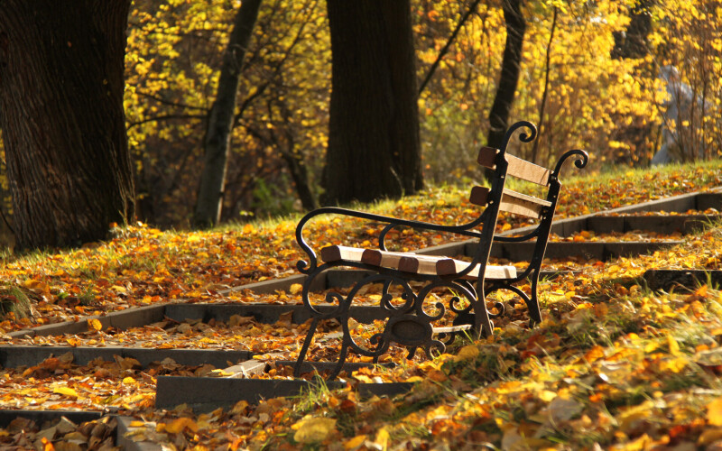 Bench_0135.jpg