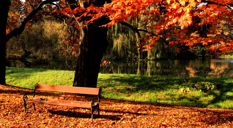 Bench_0147.jpg