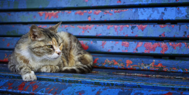 Bench_0160.jpg